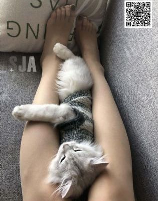 被遗弃的秘密