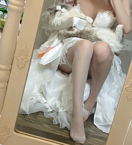 插曲视频免费高清观看中文版动漫